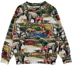 Romeo T-shirts & Tops
